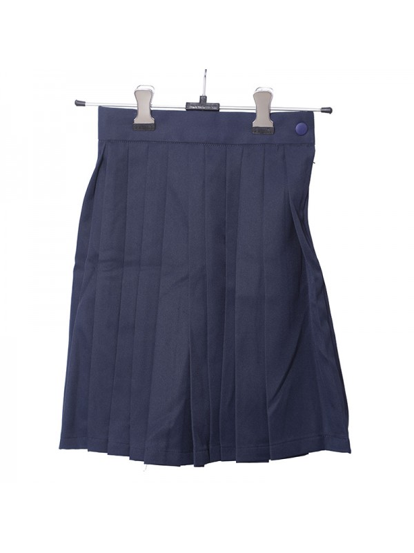 Dark Blue Skirt One Side Pleates 