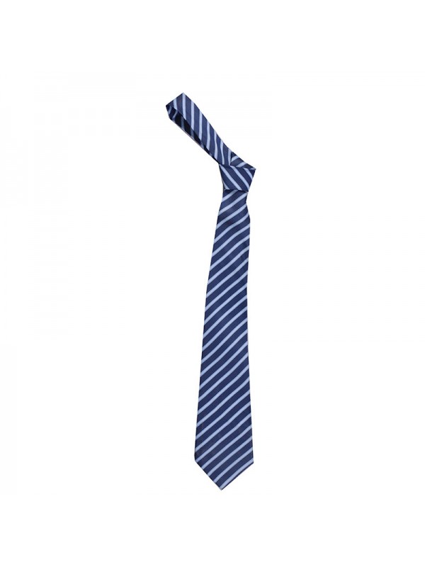 Blue Stripe Long Tie