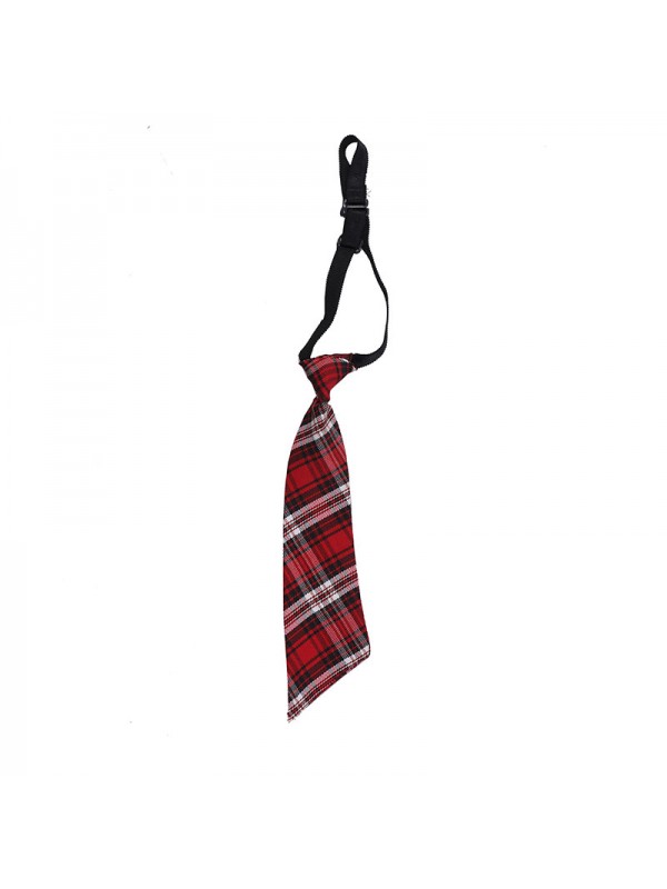 Red Checks Tie